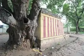 Arulmigu Dhurnatchi Amman Temple, Shanmuganathi, Palani - 624601 அருள்மிகு துர்நாட்சி அம்மன் திருக்கோயில், ஷண்முகாநதி, பழனி - 624601, Dindigul - Ancient Temple Architecture and History Image 18