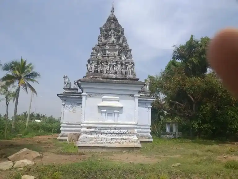 Arulmigu Doddai Palayanur Mariamman Temple, Near Solakottai, Vellolai - 636704