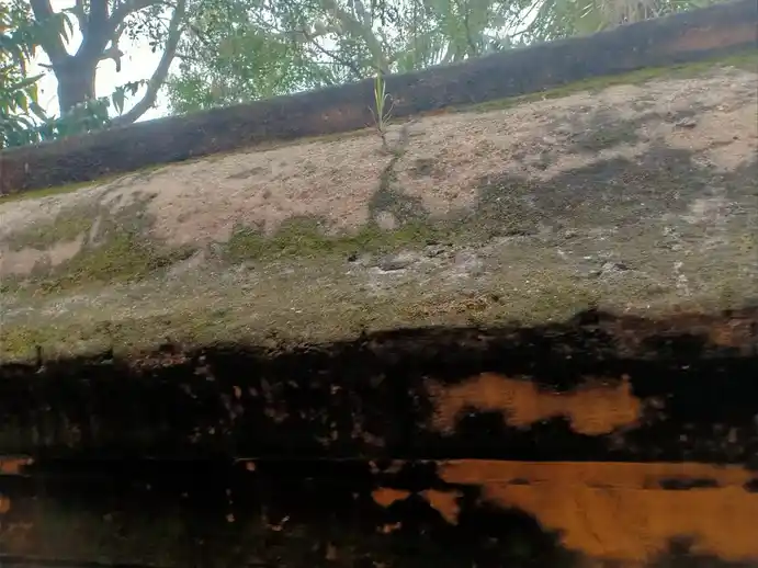 Arulmigu Droupathiamman Temple, Dharmapuri - 636701 அருள்மிகு திரௌபதியம்மன் திருக்கோயில், Dharmapuri - 636701, Dharmapuri - Ancient Temple Architecture and History Image 3