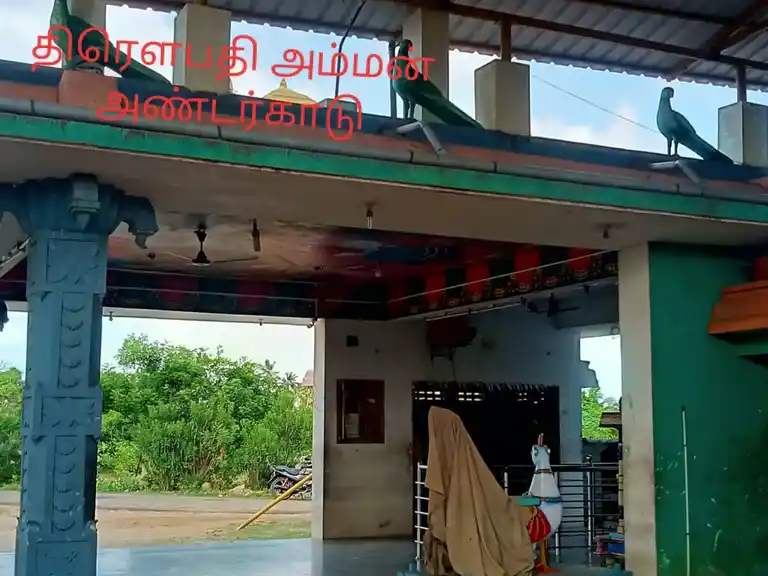Arulmigu Drowpathiamman Temple, Andarkadu - 614707 அருள்மிகு திரௌபதியம்மன் திருக்கோயில், Andarkadu - 614707, Nagapattinam - Ancient Temple Architecture and History Image 4
