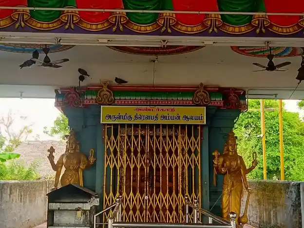 Arulmigu Drowpathiamman Temple, Andarkadu - 614707 அருள்மிகு திரௌபதியம்மன் திருக்கோயில், Andarkadu - 614707, Nagapattinam - Ancient Temple Architecture and History Image 5