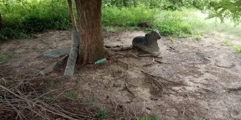 Arulmigu Drowpathiyamman Temple, Maathur Thirukai - 606207 அருள்மிகு திரௌபதியம்மன் திருக்கோயில், Maathur Thirukai - 606207, Viluppuram - Ancient Temple Architecture and History Image 5