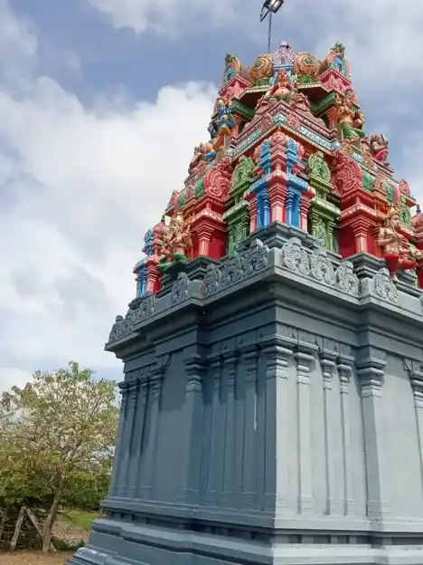 Arulmigu Drowpathiyamman Temple, Okkur - 622204 அருள்மிகு திரௌபதி அம்மன் திருக்கோயில், Okkur - 622204, Pudukkottai - Ancient Temple Architecture and History Image 8