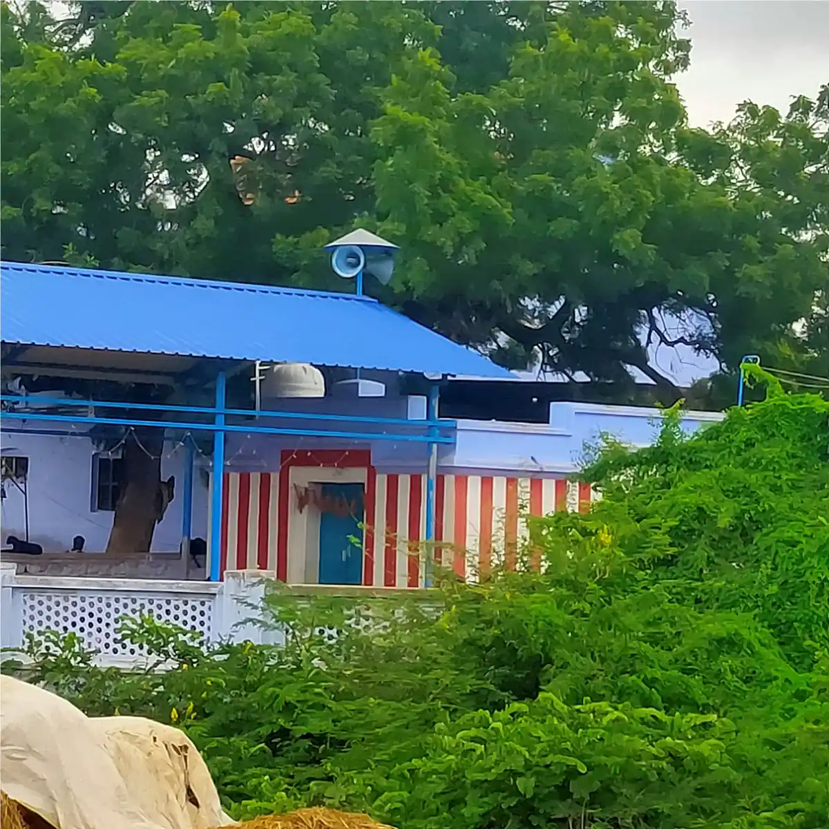 Arulmigu Durgai Amman Temple, Melacheval - 627452 அருள்மிகு துர்க்கையம்மன் திருக்கோயில், மேலச்செவல் - 627452, Tirunelveli - Ancient Temple Architecture and History Image 4