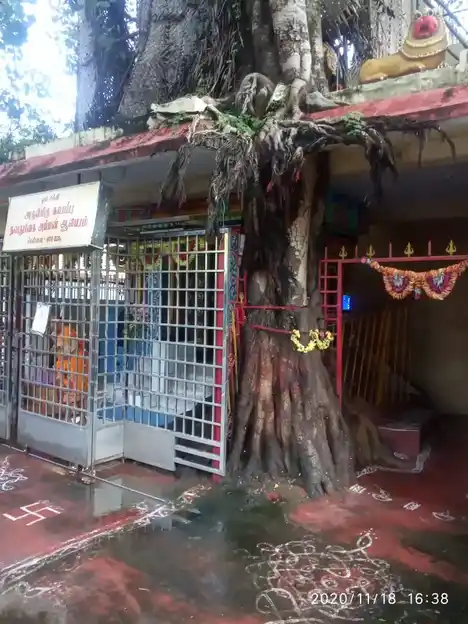 Arulmigu Durgaiamman Temple, Adaiyar, Chennai - 600020 அருள்மிகு துர்கையம்மன் கோயில், அடையாறு, சென்னை - 600020, Chennai - Ancient Temple Architecture and History Image 2