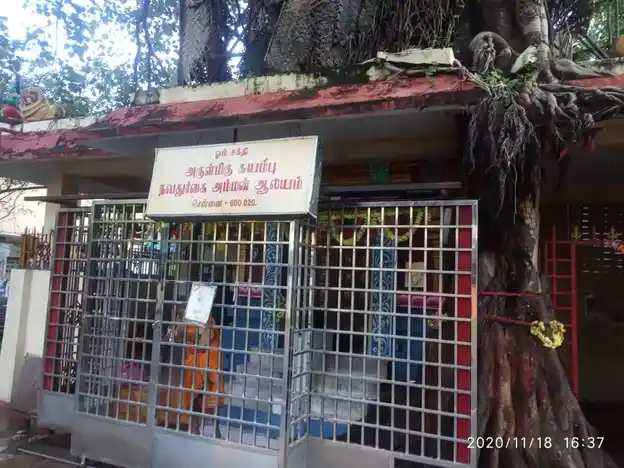 Arulmigu Durgaiamman Temple, Adaiyar, Chennai - 600020 அருள்மிகு துர்கையம்மன் கோயில், அடையாறு, சென்னை - 600020, Chennai - Ancient Temple Architecture and History Image 3