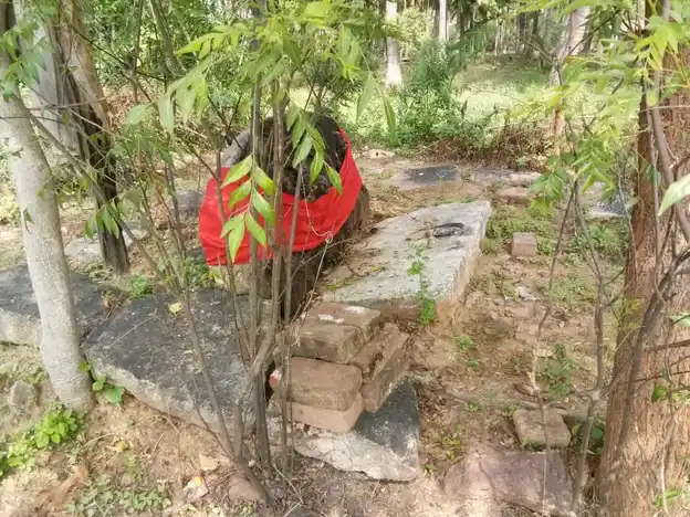 Arulmigu Durgaiamman Temple, Pethanayakanpatti - 624615 அருள்மிகு துர்க்கையம்மன் திருக்கோயில், Pethanayakanpatti - 624615, Dindigul - Ancient Temple Architecture and History Image 3