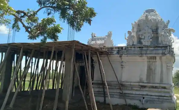 Arulmigu Ealukaliyaman Temple, Nangali - 610203 அருள்மிகு ஏழுகாளியம்மன் திருக்கோயில், Nangali - 610203, Thiruvarur - Ancient Temple Architecture and History Image 2