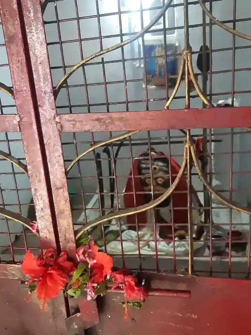 Arulmigu Earikaruppanasamy Temple, Mettupalayam - 638111 அருள்மிகு ஏரிக்கருப்பண்ணசாமி திருக்கோயில், Mettupalayam - 638111, Tiruppur - Ancient Temple Architecture and History Image 4