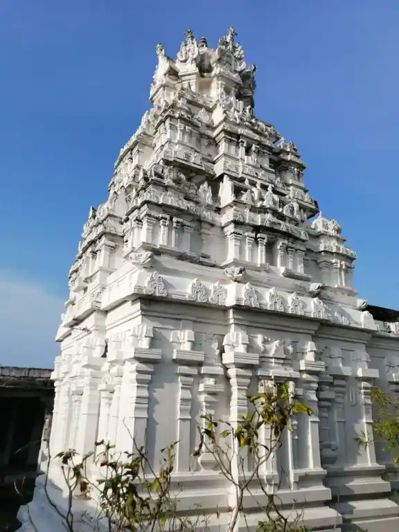 Arulmigu Eekantharamasamy Temple, Thankachimadam - 623529 அருள்மிகு. ஏகாந்தராமசாமி திருக்கோயில், Thankachimadam - 623529, Ramanathapuram - Ancient Temple Architecture and History Image 2