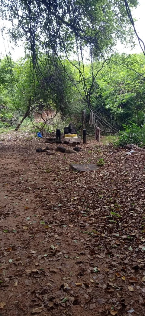 அருள்மிகு ஏனாதி பிள்ளையார் திருக்கோயில், Kanadukathan - 630103 - Main View