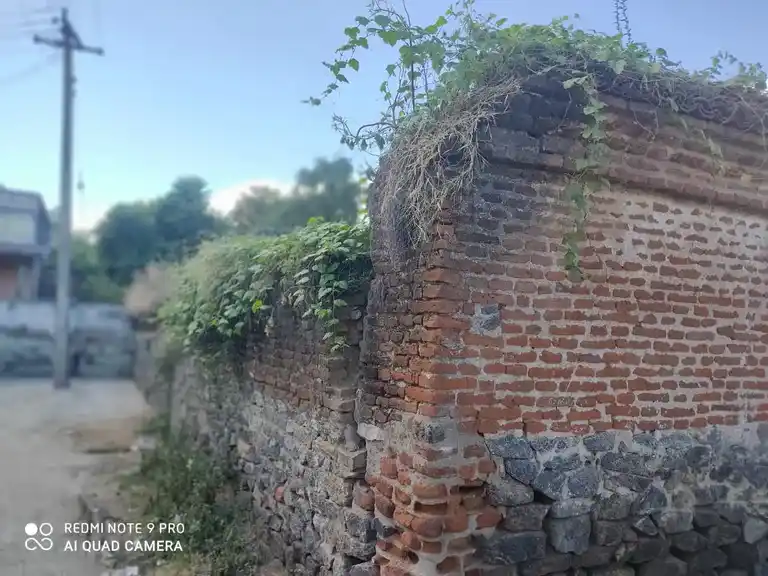 Arulmigu Egambareshwarar Temple, Sakkarapuram - 604202 Arulmigu Egambareshwarar Temple, Sakkarapuram - 604202, Viluppuram - Ancient Temple Architecture and History Image 2