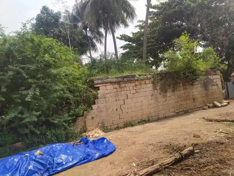 Arulmigu Egambareswarar Temple, Ilangaicheri - 621714 Arulmigu Egambareswarar Temple, Ilangaicheri - 621714, Ariyalur - Ancient Temple Architecture and History Image 2