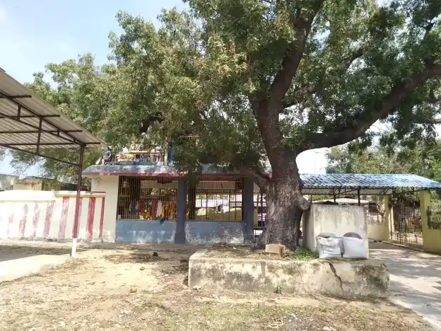 Arulmigu Egathamman Temple, Kasavanallathur - 602001 அருள்மிகு ஏகாத்தம்மன் திருக்கோயில், கசவநல்லத்தூர் - 602001, Tiruvallur - Ancient Temple Architecture and History Image 3