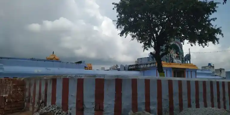 Arulmigu Ekambaranathar Temple, Walajah - 632513 அருள்மிகு ஏகாம்பரநாதர் திருக்கோயில், வாலாஜா நகரம் - 632513, Ranipet - Ancient Temple Architecture and History Image 4