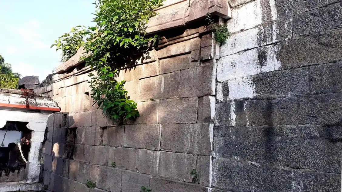 Arulmigu Ekambareswarar and Kanthappar Temple, Thammanur - 631605 அருள்மிகு ஏகாம்பரேஸ்வரர் மற்றும் கந்தப்பர் திருக்கோயில், தம்மனூர் - 631605, Kancheepuram - Ancient Temple Architecture and History Image 7