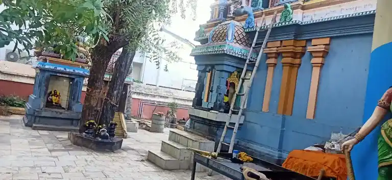 Arulmigu Ekambareswarar Sametha Kamathciyamman Temple, Pattukkottai - 614601 அருள்மிகு ஏகாம்பரேஸ்வரர் சமேத காமாட்சியம்மன் திருக்கோயில், Pattukkottai - 614601, Thanjavur - Ancient Temple Architecture and History Image 4