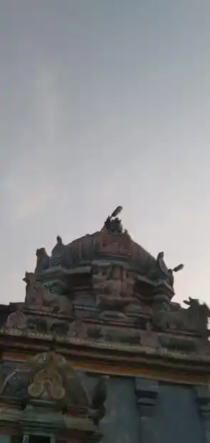 Arulmigu Ekambareswarar Temple, Ammalur - 614702 ஏகாம்பரேஸ்வரர்¨சுவாமி திருக்கோயில், Ammalur - 614702, Thiruvarur - Ancient Temple Architecture and History Image 3