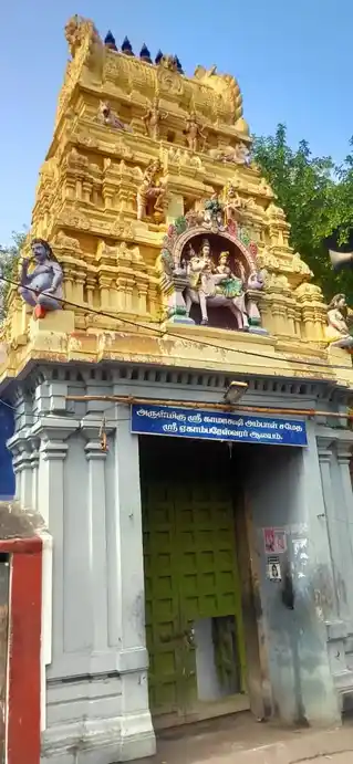 Arulmigu Ekambareswarar Temple, Chengalpattu - 603001 அருள்மிகு ஏகாம்பரேஸ்வரர் திருக்கோயில், செங்கல்பட்டு - 603001, Chengalpattu - Ancient Temple Architecture and History Image 2