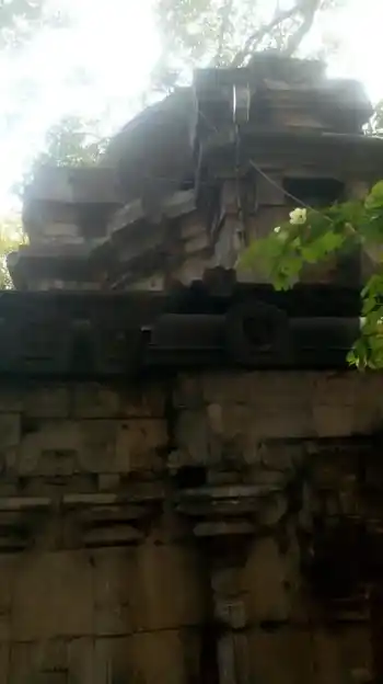 Arulmigu Elameeswaran Temple, Tharamangalam - 636502 அருள்மிகு இளமீஸ்வரன் திருக்கோவில் , Tharamangalam - 636502, Salem - Ancient Temple Architecture and History Image 5