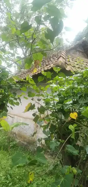 Arulmigu Elangam Temple, Yela Salai, Olacode - 629251