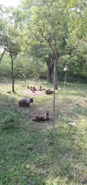 Arulmigu Elikuththi Ayyanar Temple, Pavupattu - 606753 Arulmigu Elikuththi Ayyanar Temple, Pavupattu - 606753, Tiruvannamalai - Ancient Temple Architecture and History Image 2
