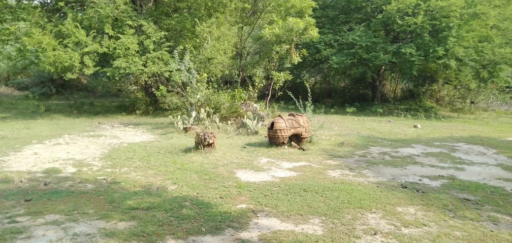 Arulmigu Elikuththi Ayyanar Temple, Pavupattu - 606753 - Main View