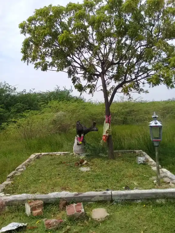 Arulmigu Elivaram Konda Ayyanar Temple, Senjai - 630002