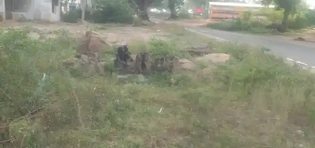 Arulmigu Ellai Amman Temple, Kolakkanatham - 621106 Arulmigu Ellai Amman Temple, Kolakkanatham - 621106, Perambalur - Ancient Temple Architecture and History Image 4