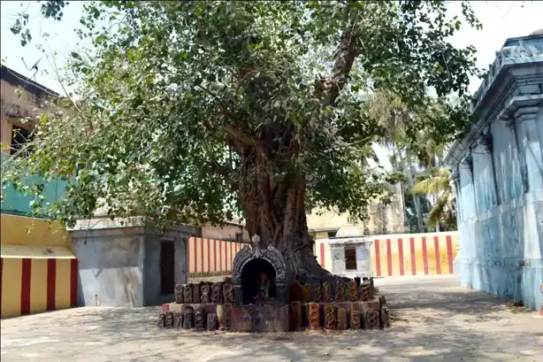 Arulmigu Ellai Amman Temple, Thanjavur - 613009 அருள்மிகு எல்லையம்மன் திருக்கோயில், Thanjavur - 613009, Thanjavur - Ancient Temple Architecture and History Image 2