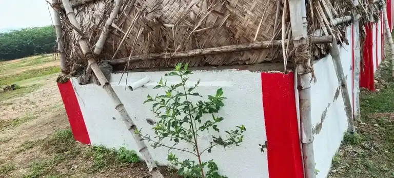 Arulmigu Ellai Pidariyamman, Sellandiamman And Ramayanpatti Kannimar Temple, Kurumbapatti - 624306 குரும்பபட்டி அருள்மிகு எல்லபிடாரியம்மன் கோயில், Kurumbapatti - 624306, Dindigul - Ancient Temple Architecture and History Image 2