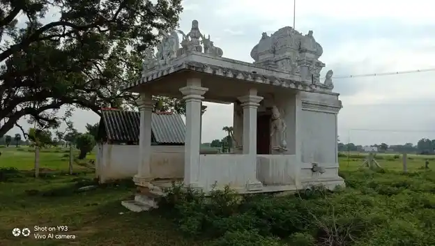 Arulmigu Ellai Thurantha Ayynanaar Temple, Sirukanaperi - 630561 அருள்மிகு. எல்லை துறந்த அய்யனார் திருக்கோயில், Sirukanaperi - 630561, Sivagangai - Ancient Temple Architecture and History Image 4