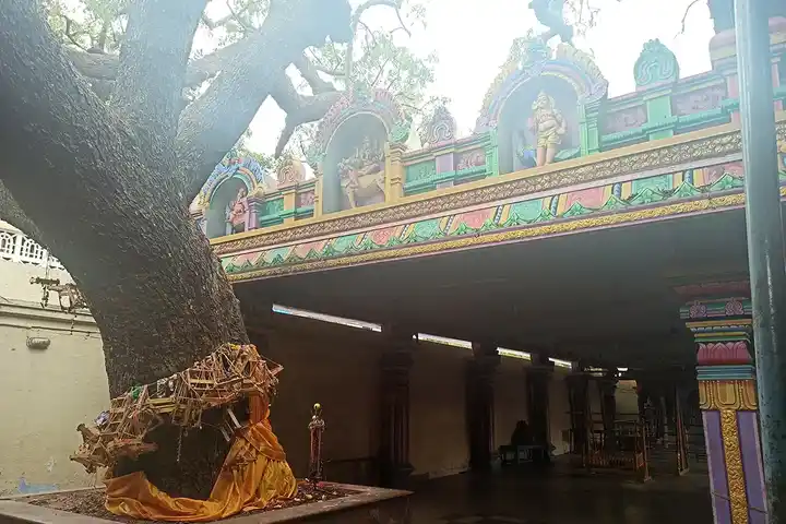 Arulmigu Ellaiamman Temple, Vettuvanam - 635809 அருள்மிகு எல்லையம்மன் திருக்கோயில், வெட்டுவானம் - 635809, Vellore - Ancient Temple Architecture and History Image 2