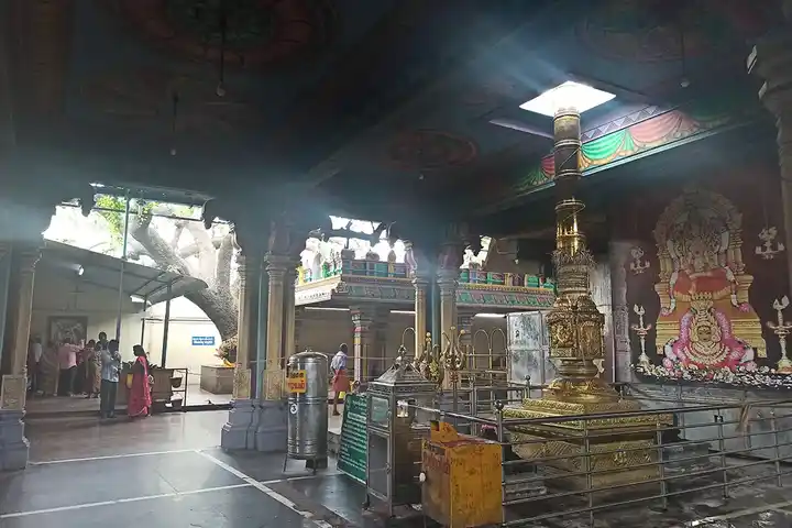 Arulmigu Ellaiamman Temple, Vettuvanam - 635809 அருள்மிகு எல்லையம்மன் திருக்கோயில், வெட்டுவானம் - 635809, Vellore - Ancient Temple Architecture and History Image 6