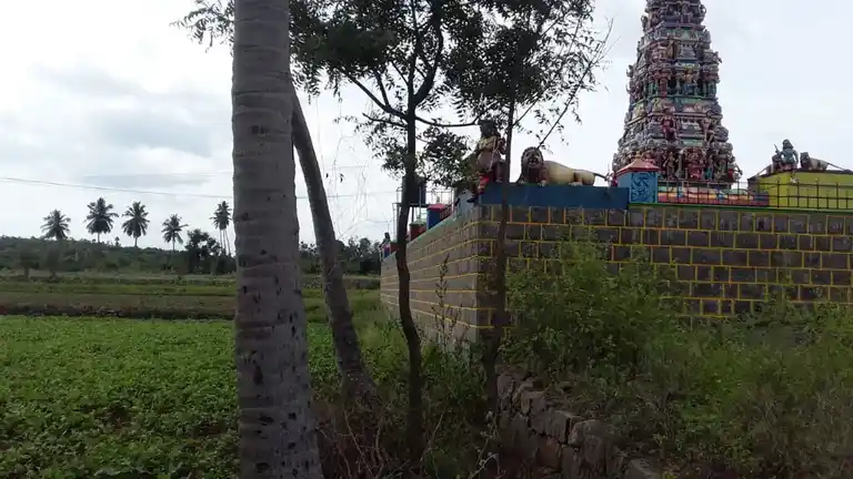 Arulmigu Ellaipidariamman Temple, Karuvalli, Kadayampatti - 636305 அருள்மிகு எல்லைப்பிடாரியம்மன் திருக்கோயில், Karuvalli, Kadayampatti - 636305, Salem - Ancient Temple Architecture and History Image 4