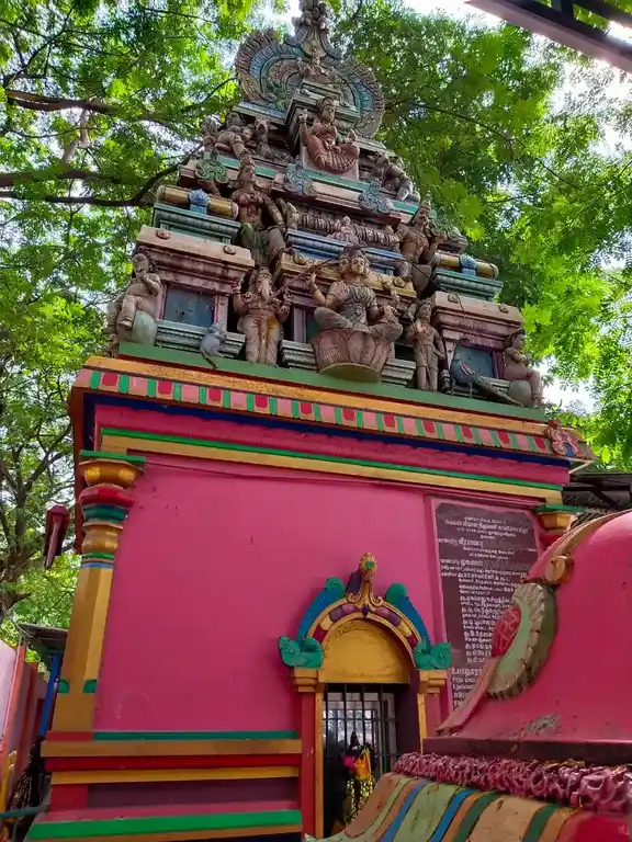 Arulmigu Ellaipidariamman Temple, Near Salem Government Arts College,, Salem - 636007 அருள்மிகு எல்லைப்பிடாரியம்மன் திருக்கோயில், அரசு காலை கல்லூரி அருகில்,, Salem - 636007, Salem - Ancient Temple Architecture and History Image 4