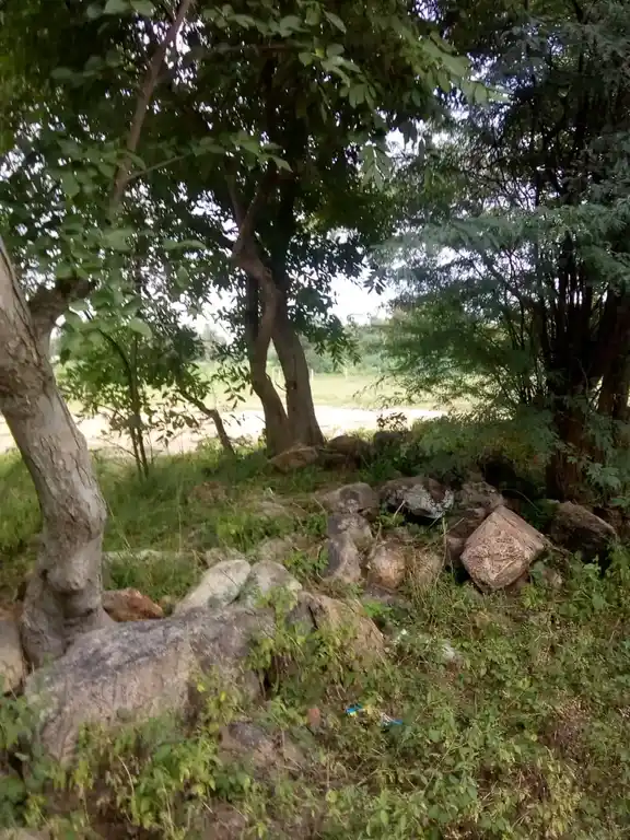 Arulmigu Ellaiyamman Temple, Cinnalampatti - 620002 Arulmigu Ellaiyamman Temple, Cinnalampatti - 620002, Thiruchirappalli - Ancient Temple Architecture and History Image 5