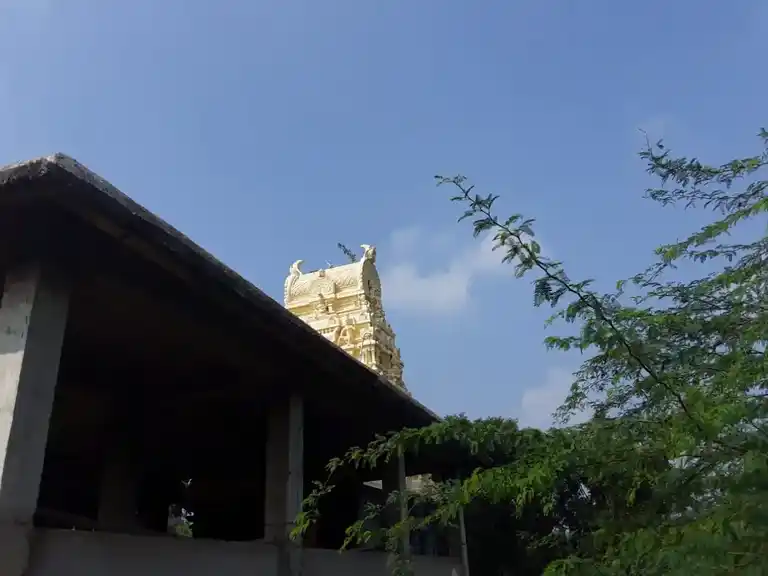 Arulmigu Ellaiyamman Temple, Kilaiy - 602105 அருள்மிகு எல்லையம்மன் திருக்கோயில், Kilaiy - 602105, Kancheepuram - Ancient Temple Architecture and History Image 4