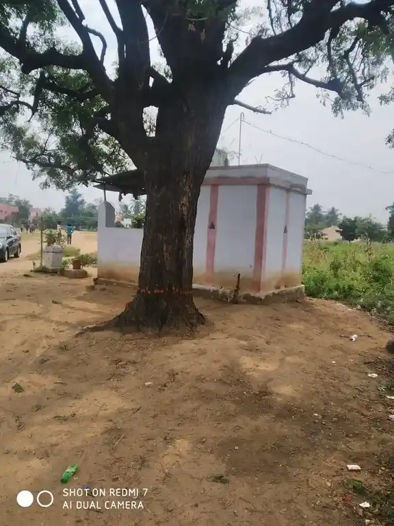 Arulmigu Ellaiyamman Temple, Tirupattur - 635602 அருள்மிகு எல்லையம்மன் திருக்கோயில், திருப்பத்தூர் - 635602, Thirupathur - Ancient Temple Architecture and History Image 2