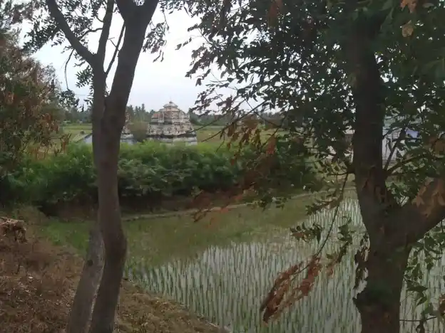 Arulmigu Ellamman Temple, Mallasamudram West - 637503 அருள்மிகு எல்லம்மன் திருக்கோயில், Mallasamudram West - 637503, Namakkal - Ancient Temple Architecture and History Image 4