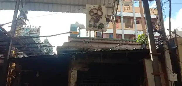 Arulmigu Ellamman Temple, Triplicane, Chennai - 600005 அருள்மிகு எல்லையம்மன் திருக்கோயில், திருவல்லிக்கேணி, சென்னை - 600005, Chennai - Ancient Temple Architecture and History Image 5