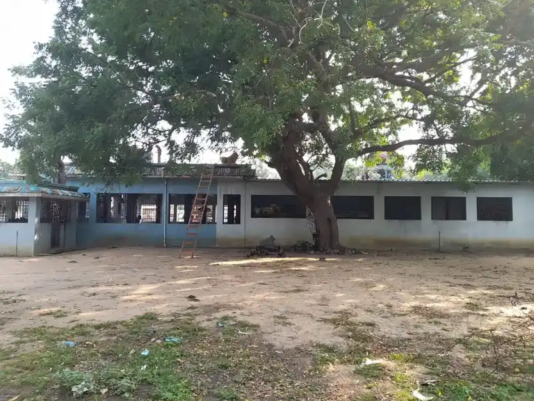 Arulmigu Elliyamman Temple, Nainarkuppam - 603302 அருள்மிகு எல்லையம்மன் திருக்கோயில், Nainarkuppam - 603302, Chengalpattu - Ancient Temple Architecture and History Image 3