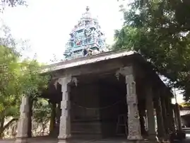Arulmigu Enamariyamman Temple, Veguppatti - 622407 அருள்மிகு ஏனமாரியம்மன் திருக்கோயில், Veguppatti - 622407, Pudukkottai - Ancient Temple Architecture and History Image 3