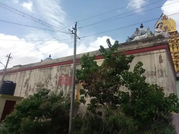 Arulmigu Erivithyeswarar Temple, Vedaraniyam - 61410 அருள்மிகு ஏரிவித்யேஸ்வரர் திருக்கோயில், வேதாரண்யம் - 61410, Nagapattinam - Ancient Temple Architecture and History Image 3