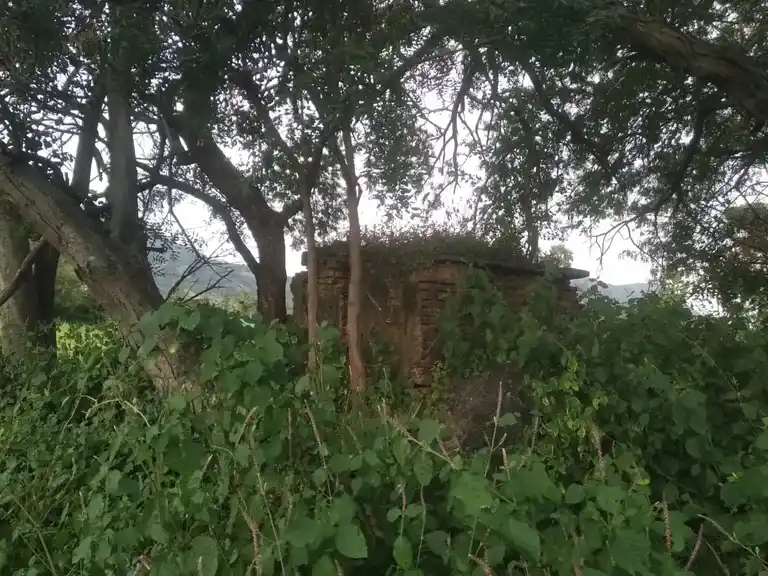 Arulmigu Erularswamy Temple, Kanavenahalli - 636808 அருள்மிகு இருளர்சாமி திருக்கோயில், Kanavenahalli - 636808, Dharmapuri - Ancient Temple Architecture and History Image 2