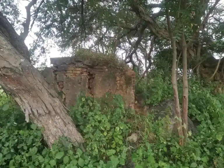 Arulmigu Erularswamy Temple, Kanavenahalli - 636808 அருள்மிகு இருளர்சாமி திருக்கோயில், Kanavenahalli - 636808, Dharmapuri - Ancient Temple Architecture and History Image 3