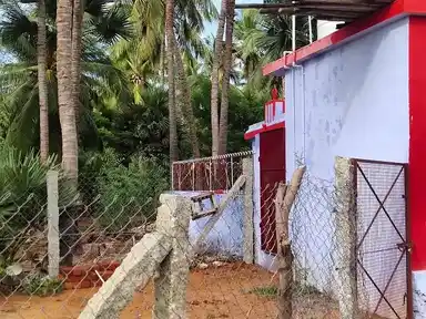 Arulmigu Esakki Amman Temple, Pallakkurichi - 628703 அருள்மிகு இசக்கியம்மன் திருக்கோயில், Pallakkurichi - 628703, Thoothukudi - Ancient Temple Architecture and History Image 4