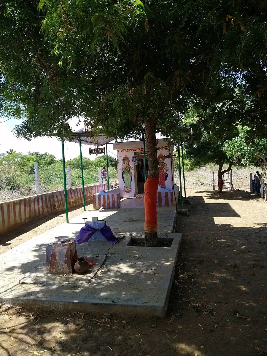 Arulmigu Essaki Amman Temple, Sattankulam - 628714 அருள்மிகு இசக்கியம்மன் திருக்கோயில், Sattankulam - 628714, Thoothukudi - Ancient Temple Architecture and History Image 4