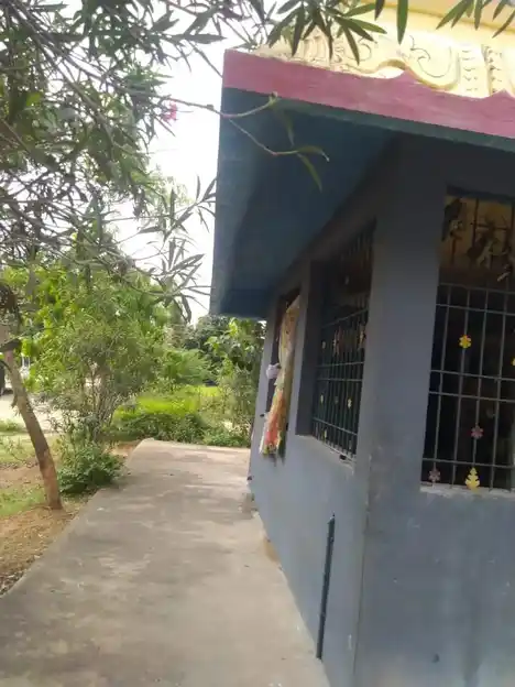 Arulmigu Eswaran Koil Temple, Salamangalam - 602105 அருள்மிகு ஈஸ்வரன் திருக்கோயில், Salamangalam - 602105, Kancheepuram - Ancient Temple Architecture and History Image 3