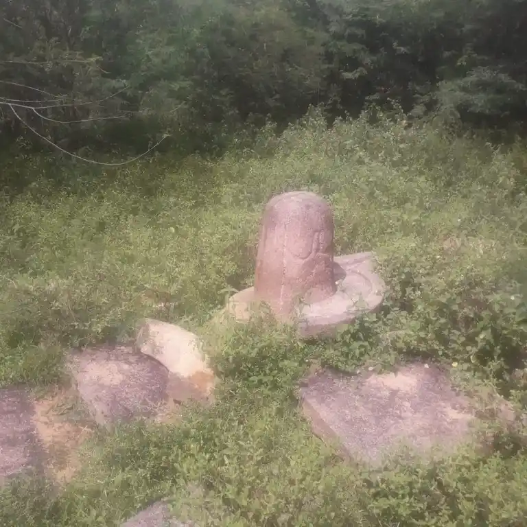 Arulmigu Eswaran Temple, Erukkumanippatti - 622102 அருள்மிகு ஈஸ்வரன் திருக்கோயில், Erukkumanippatti - 622102, Pudukkottai - Ancient Temple Architecture and History Image 4